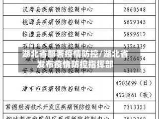 湖北省部署疫情防控/湖北省发布疫情防控指挥部