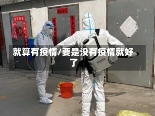 就算有疫情/要是没有疫情就好了