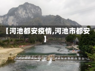 【河池都安疫情,河池市都安】