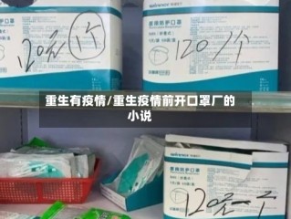 重生有疫情/重生疫情前开口罩厂的小说