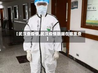 【武汉查疫情,武汉疫情数据在哪里查】