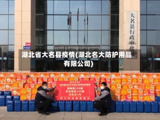 湖北省大名县疫情(湖北名大防护用品有限公司)
