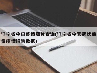 辽宁省今日疫情图片查询(辽宁省今天冠状病毒疫情报告数据)