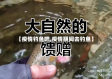 【疫情钓鱼吧,疫情期间去钓鱼】