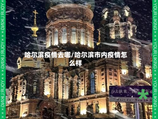 哈尔滨疫情去哪/哈尔滨市内疫情怎么样