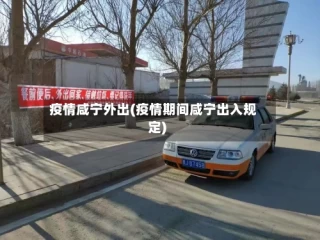 疫情咸宁外出(疫情期间咸宁出入规定)