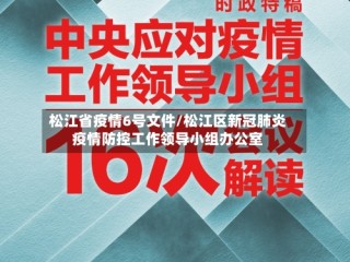 松江省疫情6号文件/松江区新冠肺炎疫情防控工作领导小组办公室