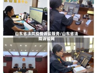 山东省法院疫情诉讼服务/山东省法院诉讼网