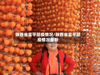 陕西省富平防疫情况/陕西省富平防疫情况最新