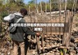 今日印尼古邦省疫情如何(印尼邦加岛疫情)