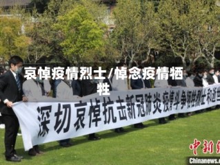 哀悼疫情烈士/悼念疫情牺牲