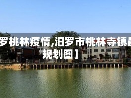 【汨罗桃林疫情,汨罗市桃林寺镇最新规划图】