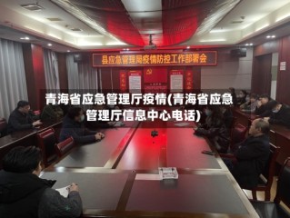 青海省应急管理厅疫情(青海省应急管理厅信息中心电话)