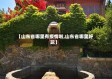 【山东省哪里有疫情啦,山东省哪里好玩】