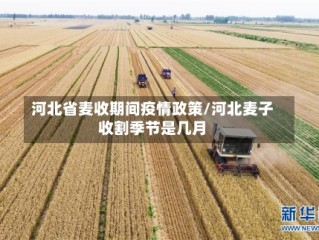 河北省麦收期间疫情政策/河北麦子收割季节是几月
