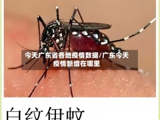 今天广东省各地疫情数据/广东今天疫情新增在哪里