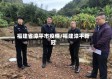 福建省漳平市疫情/福建漳平新冠