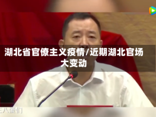 湖北省官僚主义疫情/近期湖北官场大变动