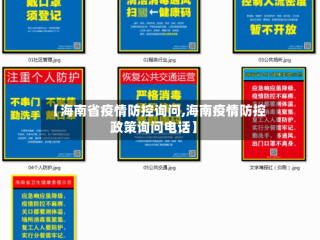【海南省疫情防控询问,海南疫情防控政策询问电话】