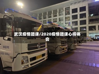 武汉疫情团课/2020疫情团课心得体会