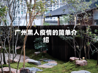 广州黑人疫情的简单介绍