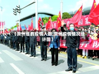【贵州省的疫情人数,贵州疫情情况统计图】