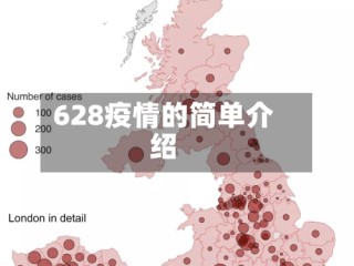 628疫情的简单介绍