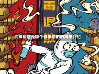 武汉疫情是哪个省援助的的简单介绍
