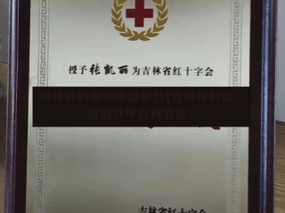 吉林省的疫情捐款平台(吉林省的疫情捐款平台有哪些)