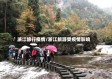 浙江旅行疫情/浙江旅游受疫情影响