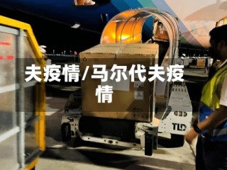 夫疫情/马尔代夫疫情