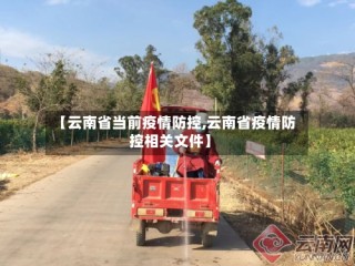 【云南省当前疫情防控,云南省疫情防控相关文件】