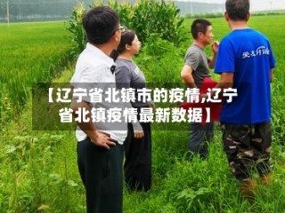 【辽宁省北镇市的疫情,辽宁省北镇疫情最新数据】