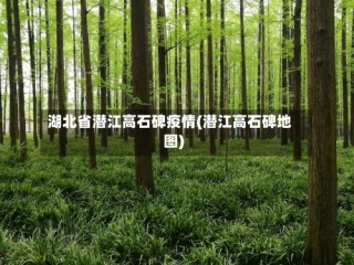 湖北省潜江高石碑疫情(潜江高石碑地图)