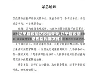 【辽宁省疫情防疫指令令,辽宁省疫情防控指挥部文件】
