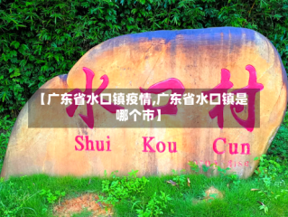 【广东省水口镇疫情,广东省水口镇是哪个市】