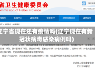 辽宁省现在还有疫情吗(辽宁现在有新冠状病毒感染病例吗)
