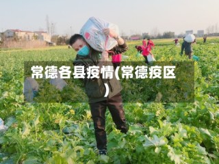 常德各县疫情(常德疫区)