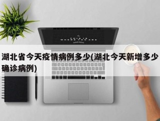 湖北省今天疫情病例多少(湖北今天新增多少确诊病例)