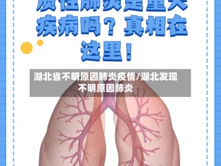湖北省不明原因肺炎疫情/湖北发现不明原因肺炎