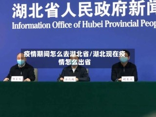 疫情期间怎么去湖北省/湖北现在疫情怎么出省