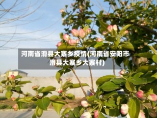 河南省滑县大寨乡疫情(河南省安阳市滑县大寨乡大寨村)