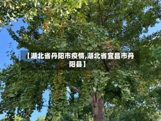 【湖北省丹阳市疫情,湖北省宜昌市丹阳县】