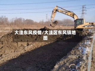 大洼东风疫情/大洼区东风镇地图