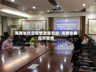 海南省抗击疫情政策总结/海南省委应对疫情