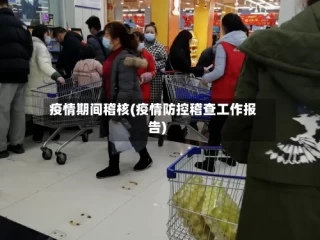 疫情期间稽核(疫情防控稽查工作报告)