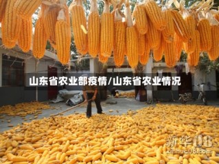 山东省农业部疫情/山东省农业情况