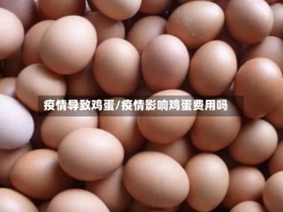 疫情导致鸡蛋/疫情影响鸡蛋费用吗