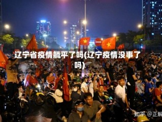 辽宁省疫情躺平了吗(辽宁疫情没事了吗)