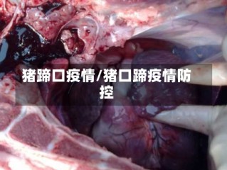 猪蹄口疫情/猪口蹄疫情防控